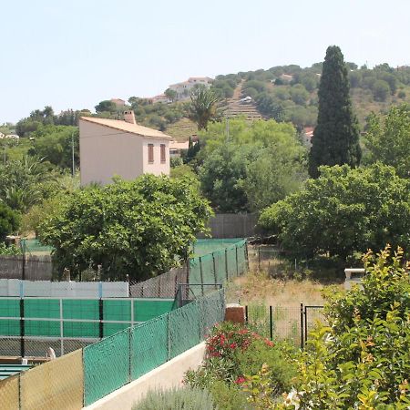 Appartement Renove Avec Terrasse, A Deux Pas Du Centre Et De La Mer, Ideal Pour 4 Personnes - Fr-1-309-4 Banyuls-sur-Mer Exterior foto